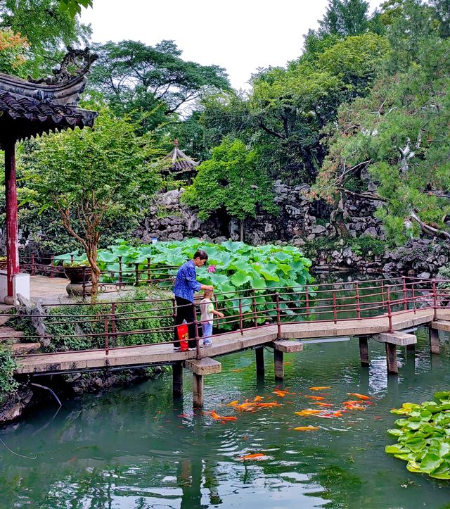 蘇州小眾古典園林丨怡園