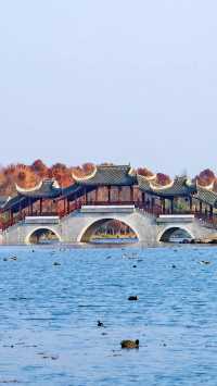 上海最美的大梅園，上海海灣國家森林公園