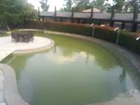 南方小土豆在大鹹寧就可以泡溫泉賞雪景