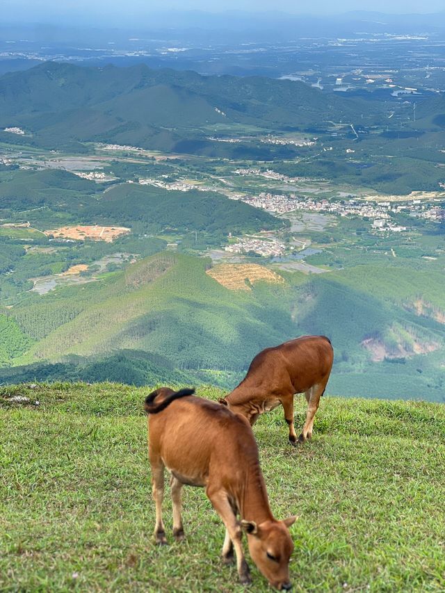 新興風車山｜赴一場完美日落