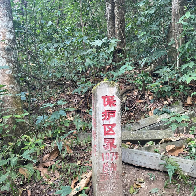 瀑布淋身，自由即永生！高黎貢山原始森林徒步