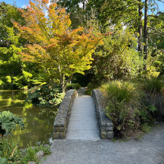 Explore City and Nature in Christchurch!