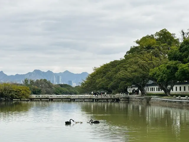 เกาะในแม่น้ำและทะเลสาบ Qing ทั้งสอง