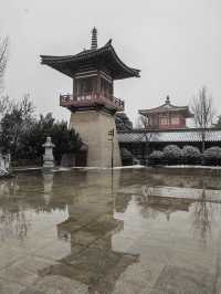 雨雪中遊法門寺