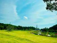 春節深圳休閒遊｜恩上水庫全攻略