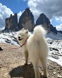 5 THINGS YOU MUST KNOW ABOUT THE DOLOMITES 🇮🇹🏔️😍