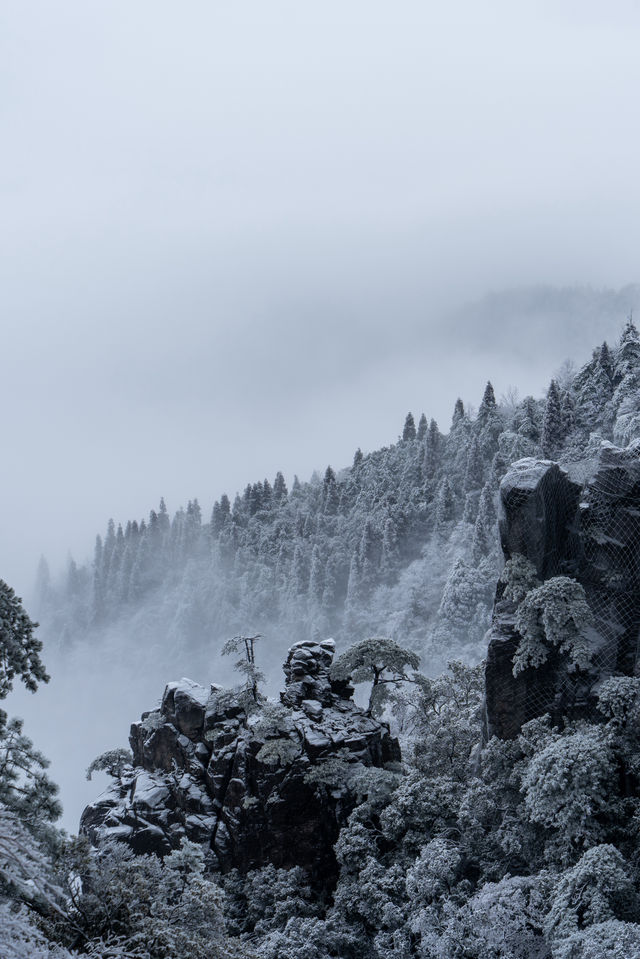 南方小土豆，被武功山雪景美翻