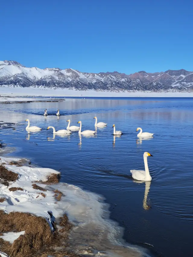 Sayram Lake Winter One-Day Tour Non-Self-Driving Guide