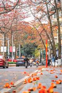 廣州拍照·離開廣州前一定要去一次陵園西路！