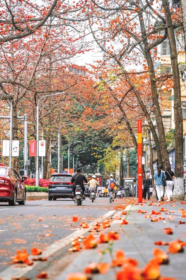 廣州拍照·離開廣州前一定要去一次陵園西路！
