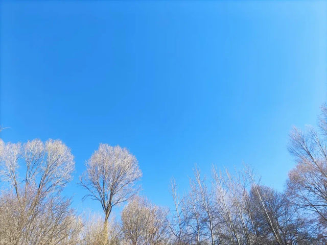 雪後的金城公園和街景