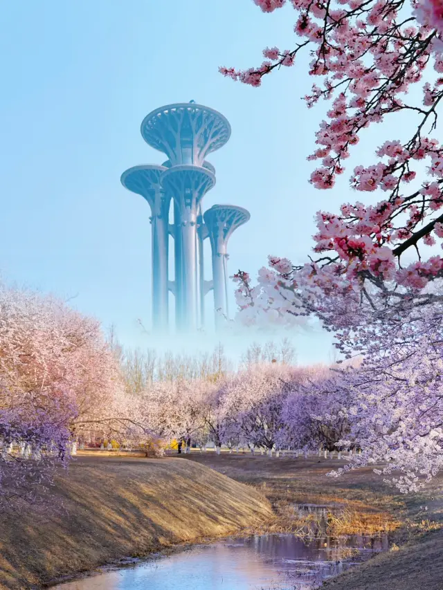 Visit here in March to see the 'Three Lives Three Worlds, Ten Miles of Peach Blossoms' in Beijing