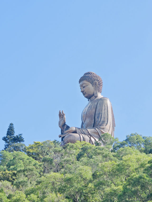 寶蓮禪寺天壇大佛