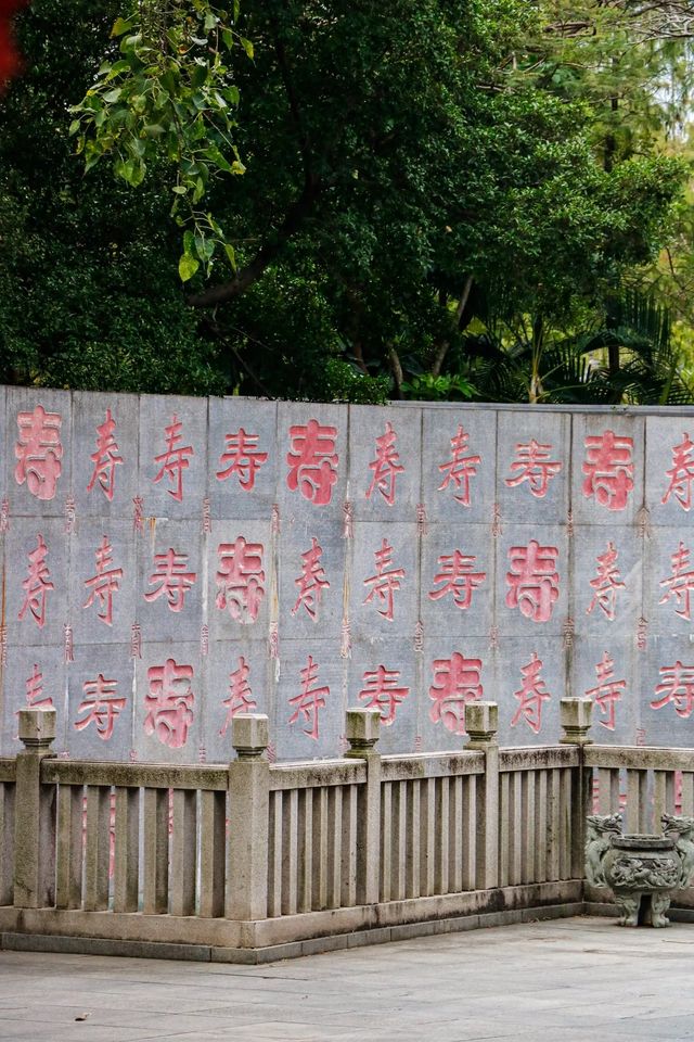 東莞小眾冷門公園|竟藏著一片秋天這麼美的小公園！