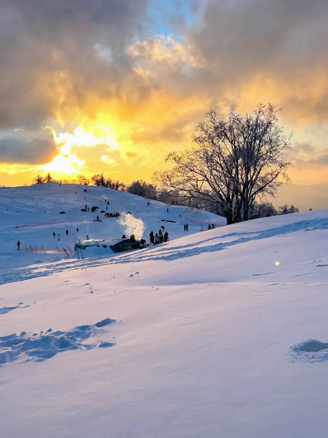 これはノルウェー、フィンランドではありません！これは東北の雪の谷、霧氷峠です！！！