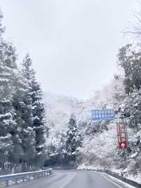 仙女山的雪景太棒了，只需要知道這8點就能快樂到飛！