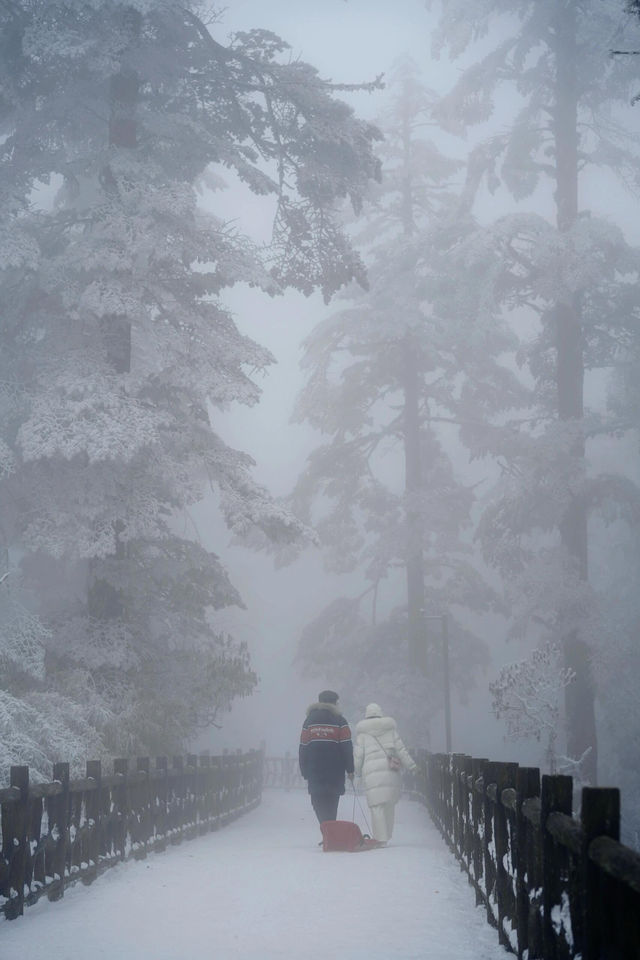 霧有多美妙，去了瓦屋山才知道