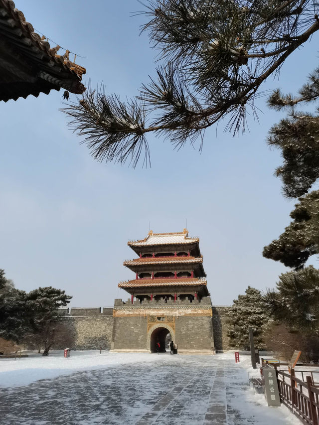 昭陵|沈陽北陵公園春夏秋冬的景色