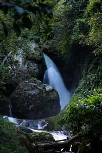 雲南高黎貢山，享受原始森林的氣息