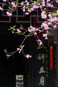 二泉書院