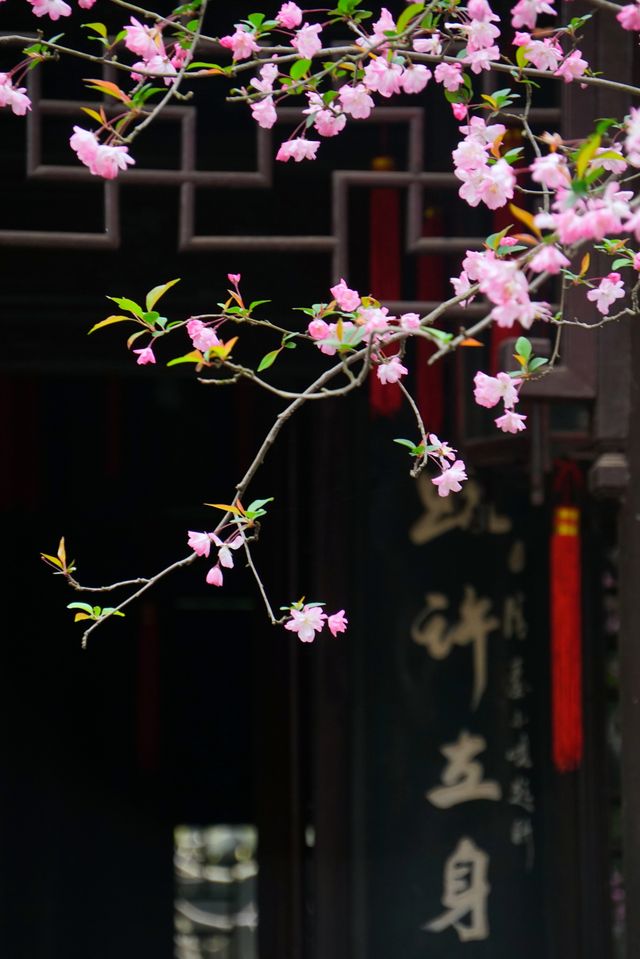 二泉書院