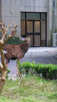 長沙、武漢周邊親子遊｜與春日美好不期而遇