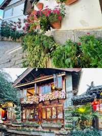麗江古城，鮮花的海洋，感受人間浪漫