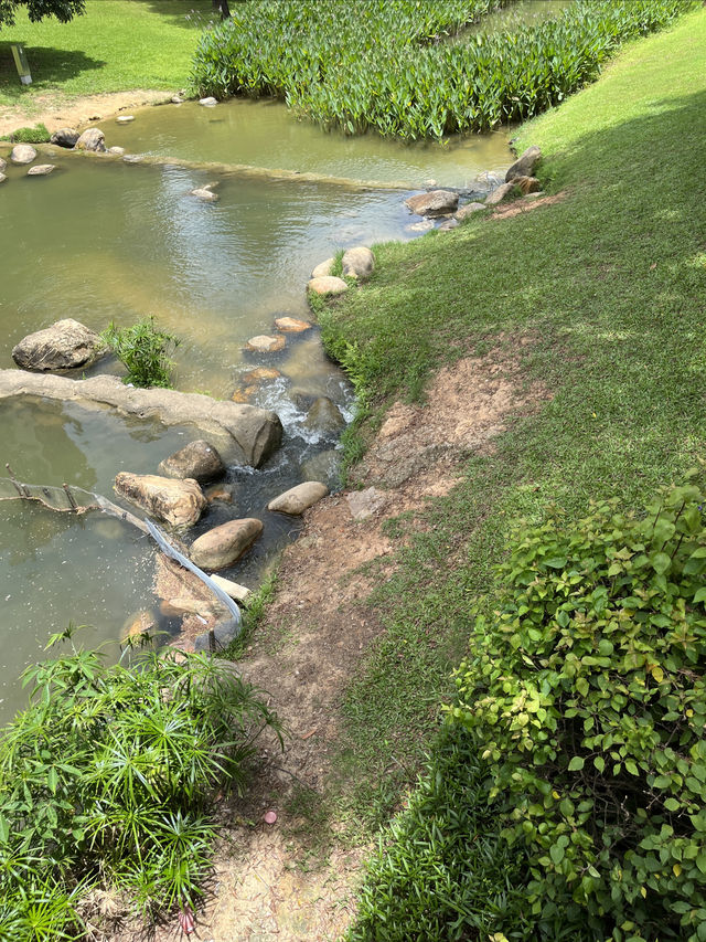 深圳市中心公園【城市公園天花板!】 深圳市中心公園【城市公園天花板!】