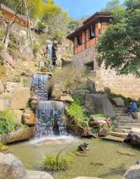三月賞花去篁嶺，萬畝油菜花海