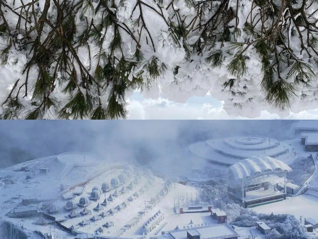 武功山冬日詳細攻略|被白色童話雪景治癒！