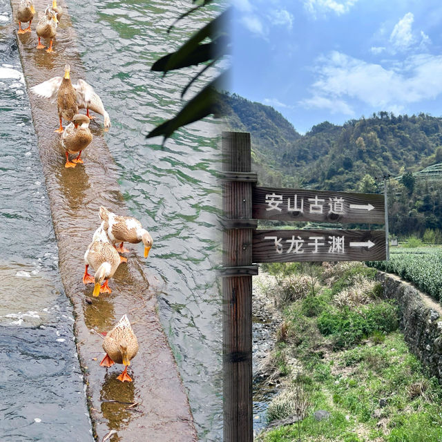 紹興徒步｜江浙滬古道天花板 只再等你3年