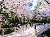 Hiroshima's Tranquility