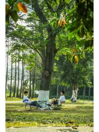 廣州春季露營·戶外野餐賞日落的免費公園推薦！