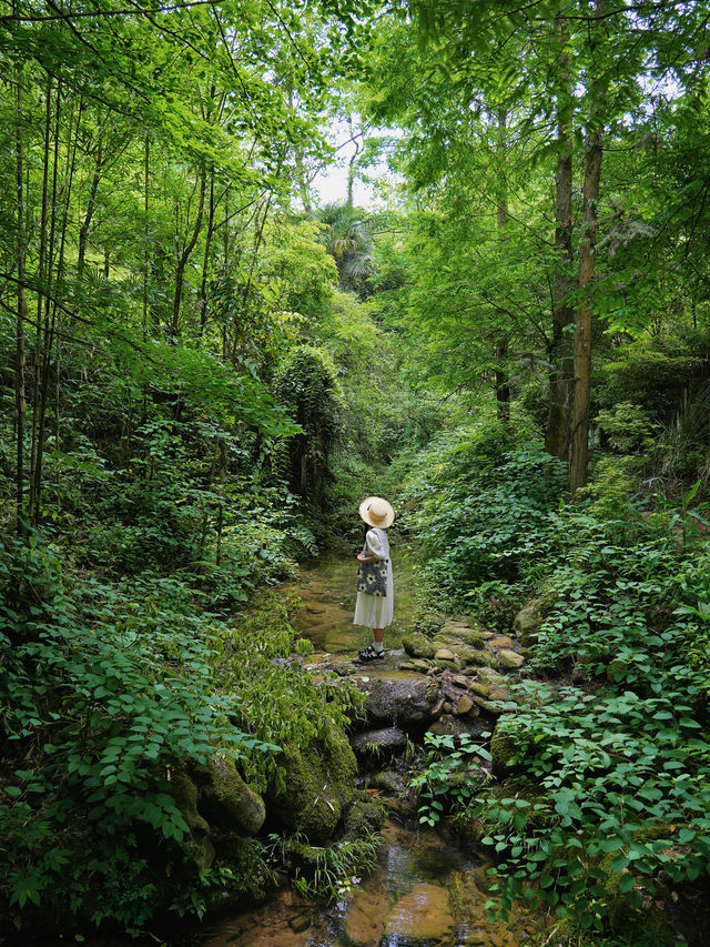 All my friends assumed I went to Kyoto🎐, but this is Chengdu!!