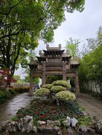 這個公園裡藏著470年的古藤