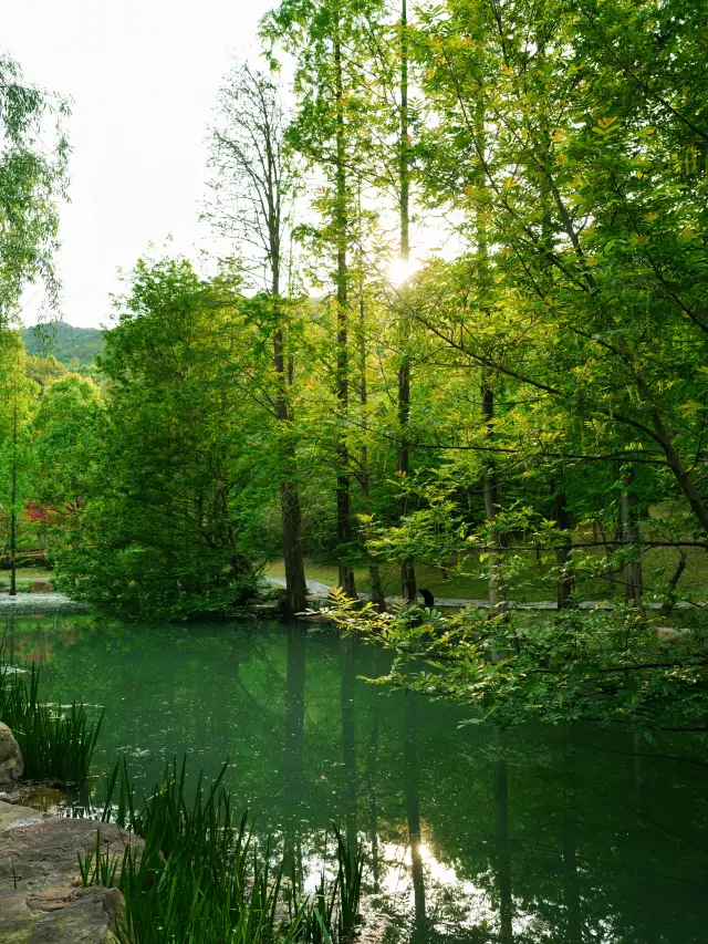 The light of Shaoxing falls into the verdant secret realm under the brush of Wang Xizhi