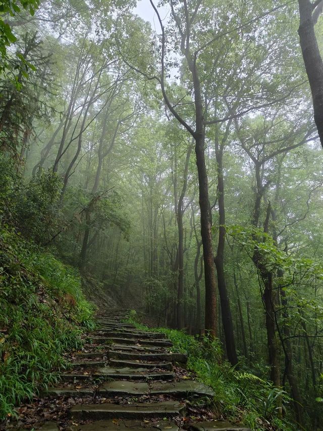 重慶治癒系賞花徒步線路，南山清水溪步道-涂山寺