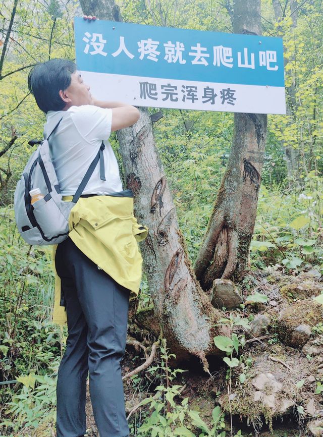 仙居恩施，最美鹿苑坪