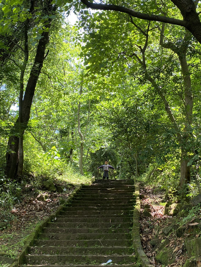 成都1h，穿越森林之門感受春和景明