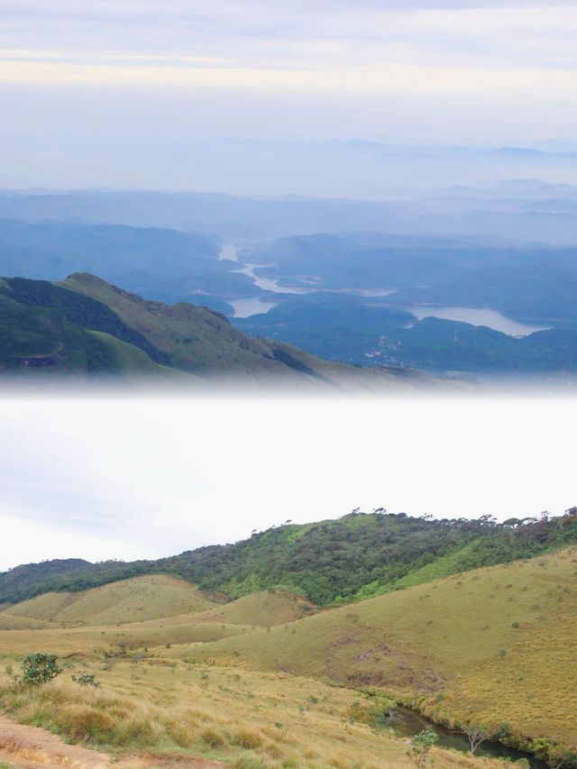 避暑勝地，高山牧場