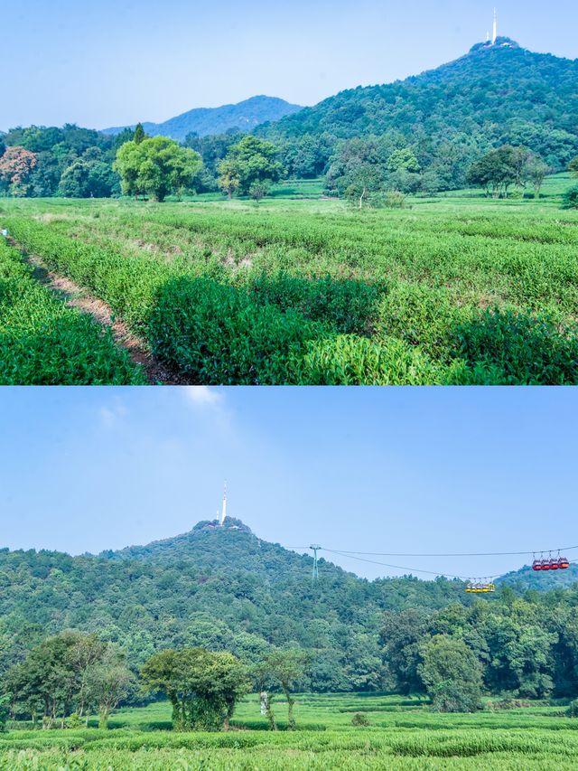 讚不絕口這家位於靈隱寺旁的禪意民宿。