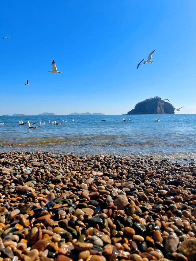來棒棰島，告訴你海的味道