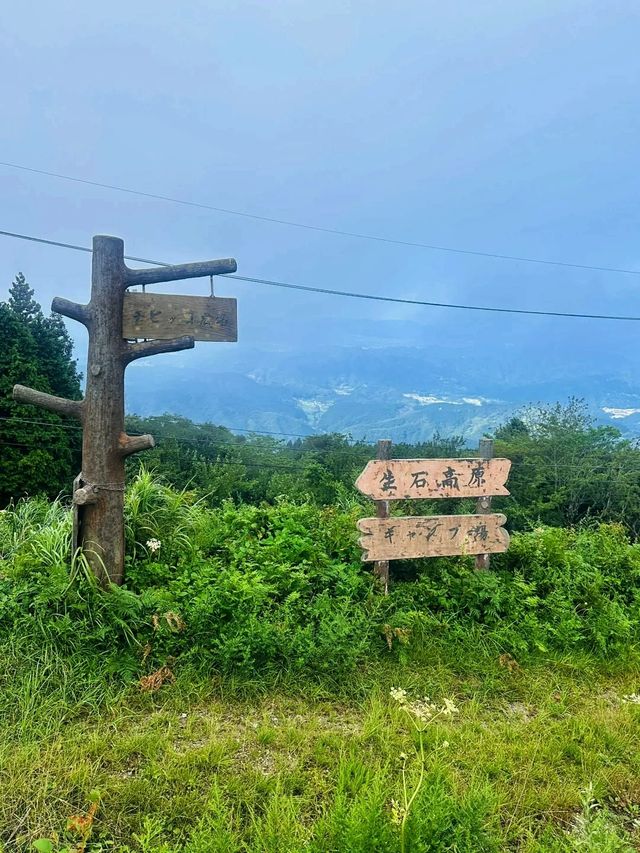 關西小眾海岸｜夏日暑期限定花火一日遊攻略