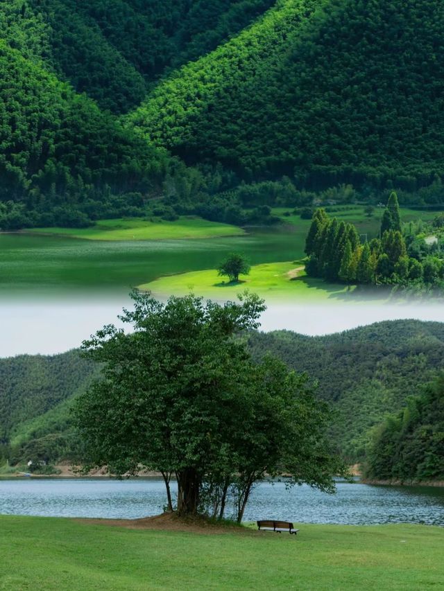 瘋傳朋友圈的神秘仙境！竟然藏在浙江，不是新疆！