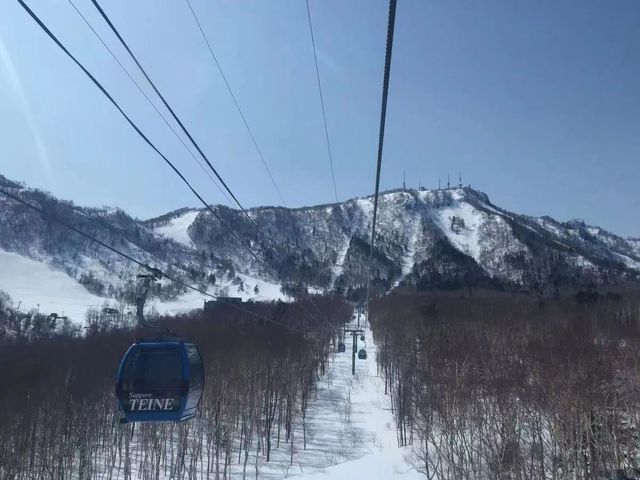 日本滑雪｜2023北海道精選雪場推薦！。