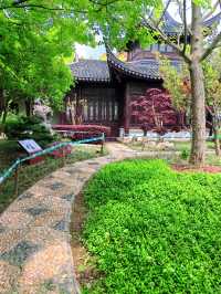 上海松江 | 西林禅寺徒步，遇見不一樣的風景