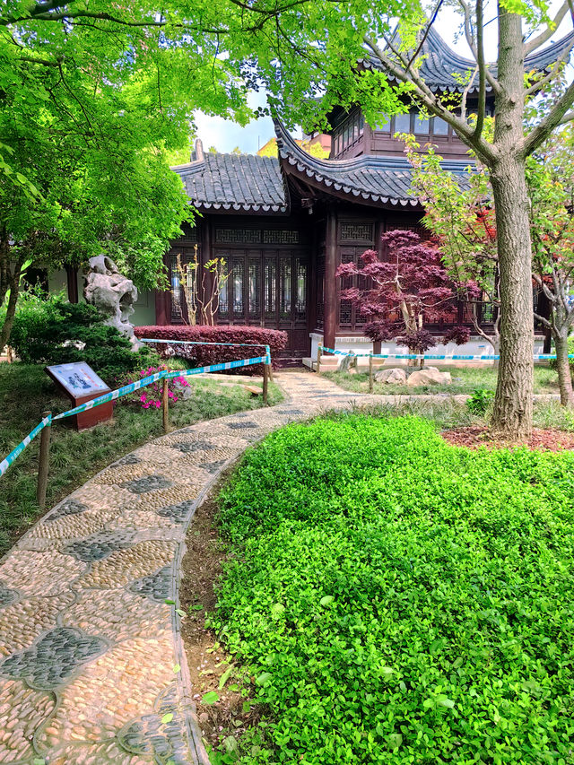 上海松江 | 西林禅寺徒步，遇見不一樣的風景