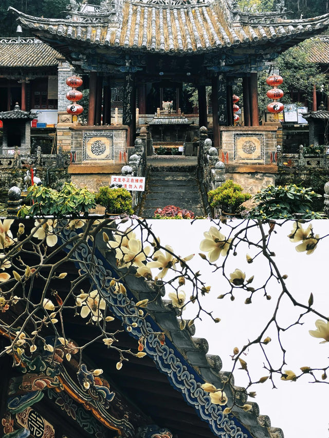 來巍寶山找祖師爺玩兒～ 巍寶山攻略