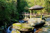 梵淨山腳下冷門小眾景點｜亞木溝風景區