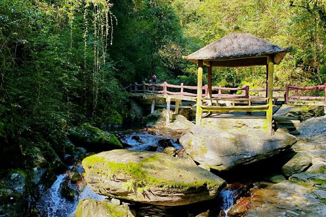 梵淨山腳下冷門小眾景點｜亞木溝風景區
